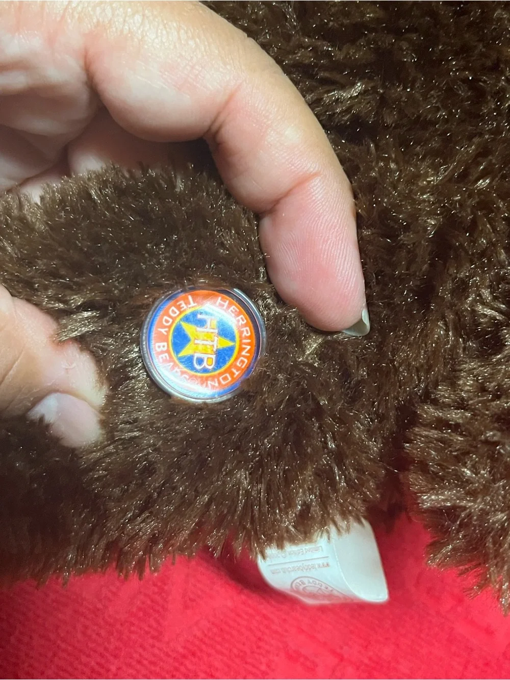 2008 30th Anniversary Cheesecake Factory Teddy Bear special edition - Picture 10 of 10